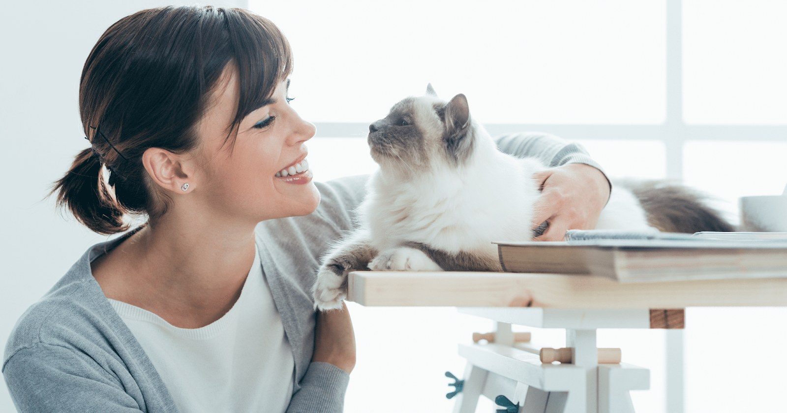 What Makes Cats Happy? 6 Things You Need to Know!